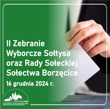 Wybory w sołectwie Borzęcice